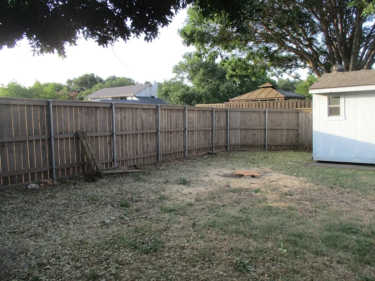 Cleared yard after professional tree removal in High Bridge